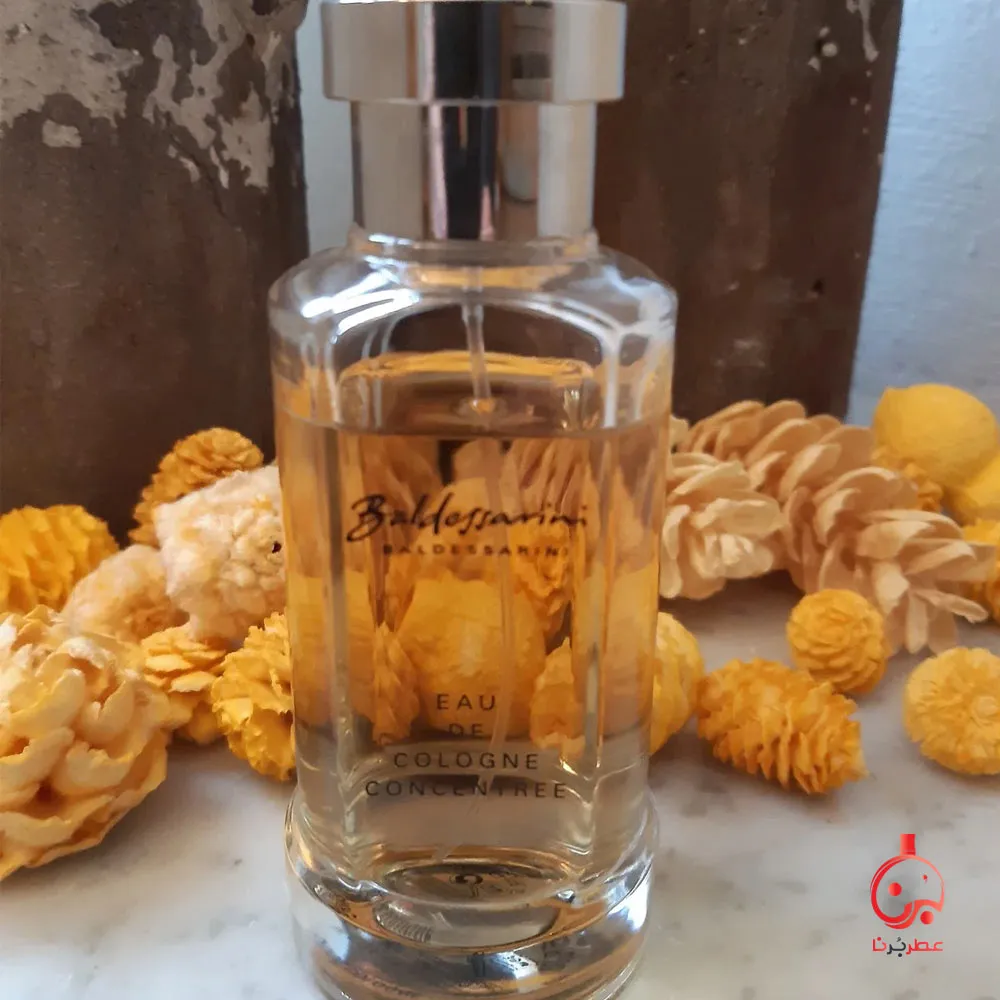 بالدسارینی مردانه او د کلن کنسانتره