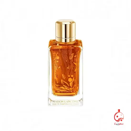 عود آمبرویزی