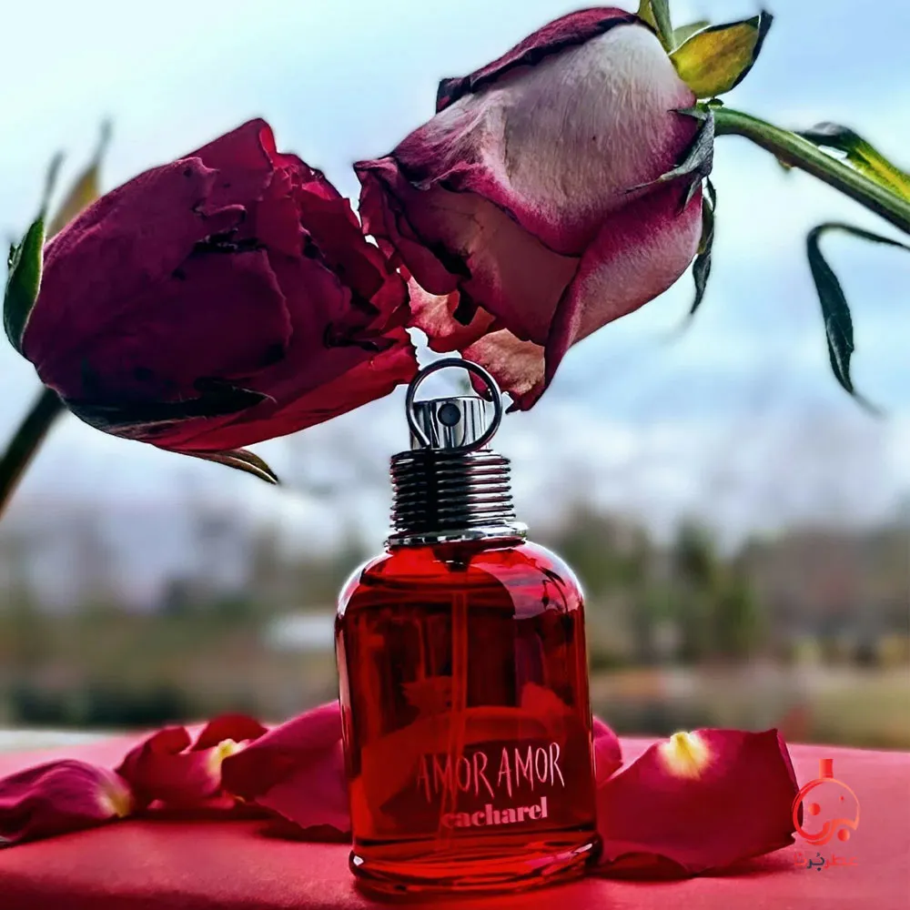 عطر کاشارل امور امور