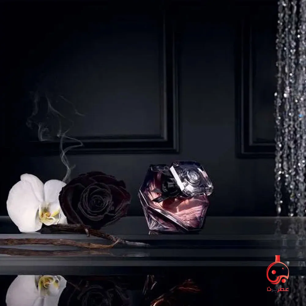 عطر لانویت ترزور