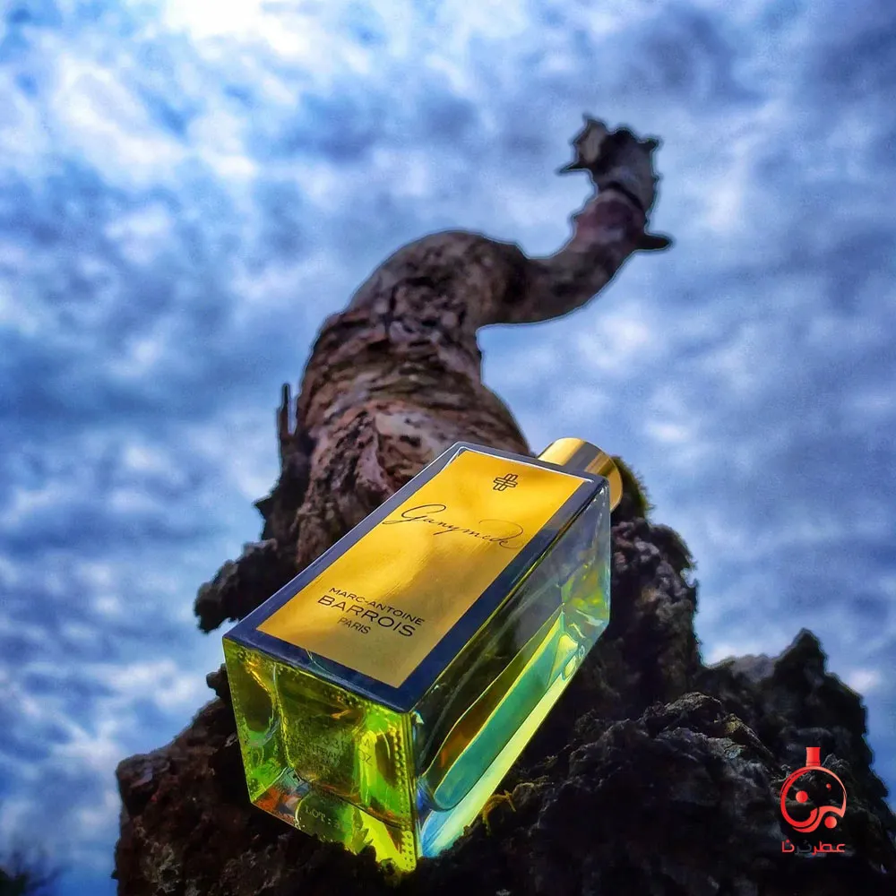 مارک آنتونی بارووا گنیمید ( گانیمد )