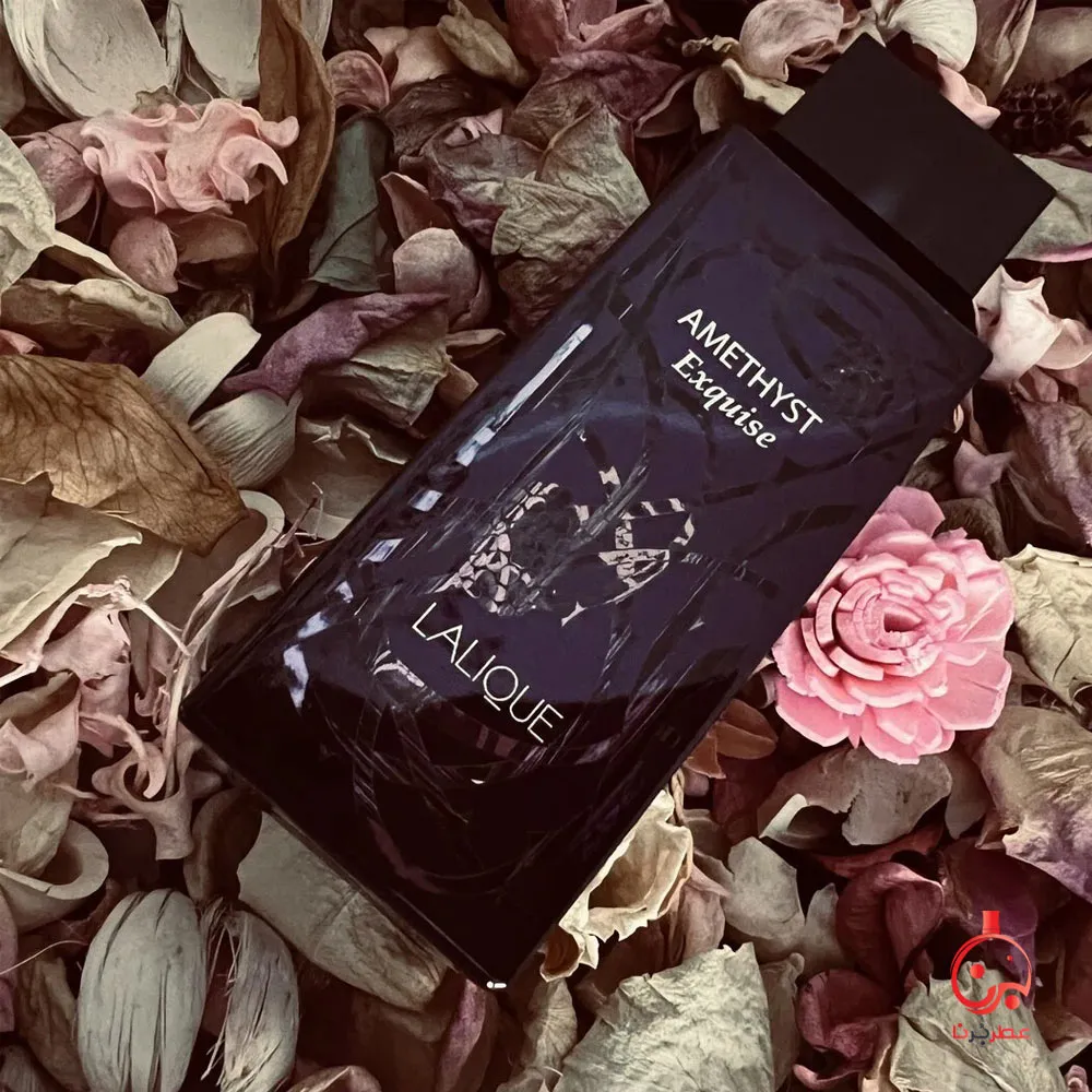 عطر لالیک آمیتیس اکسکیوز
