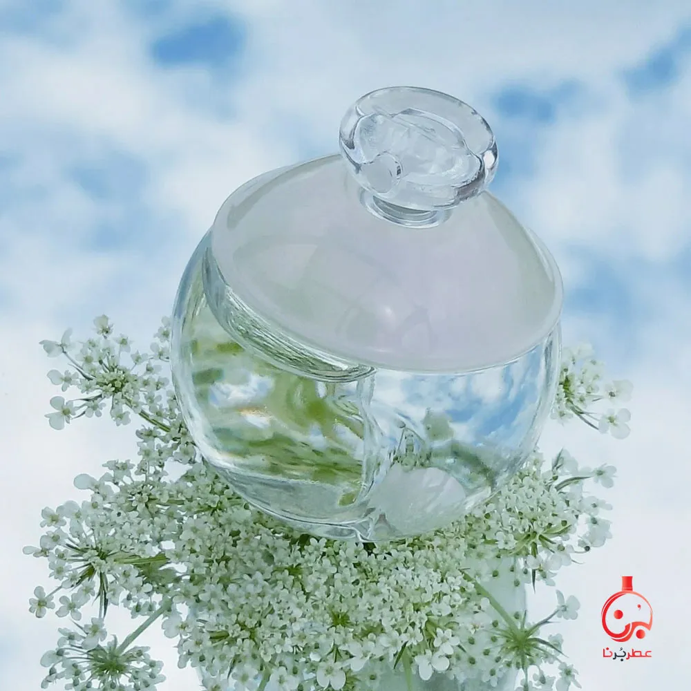 عطر کاچارل نوآ (کاشارل نوا)