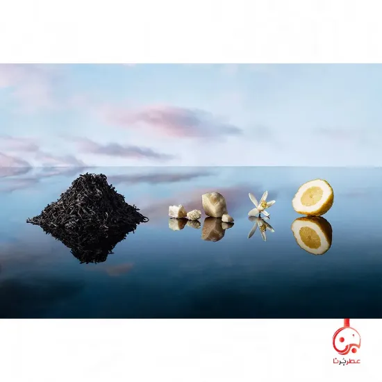 لویی ویتون ایمجینیشن