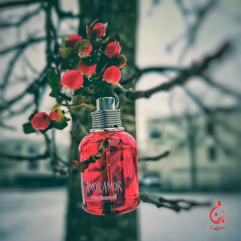 عطر کاشارل امور امور