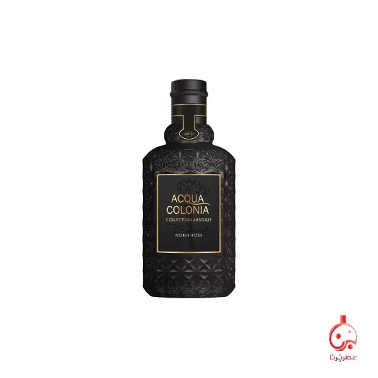 نوزگسم نوبل رز