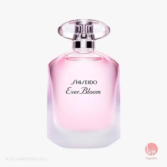 اور بلوم "EDT"