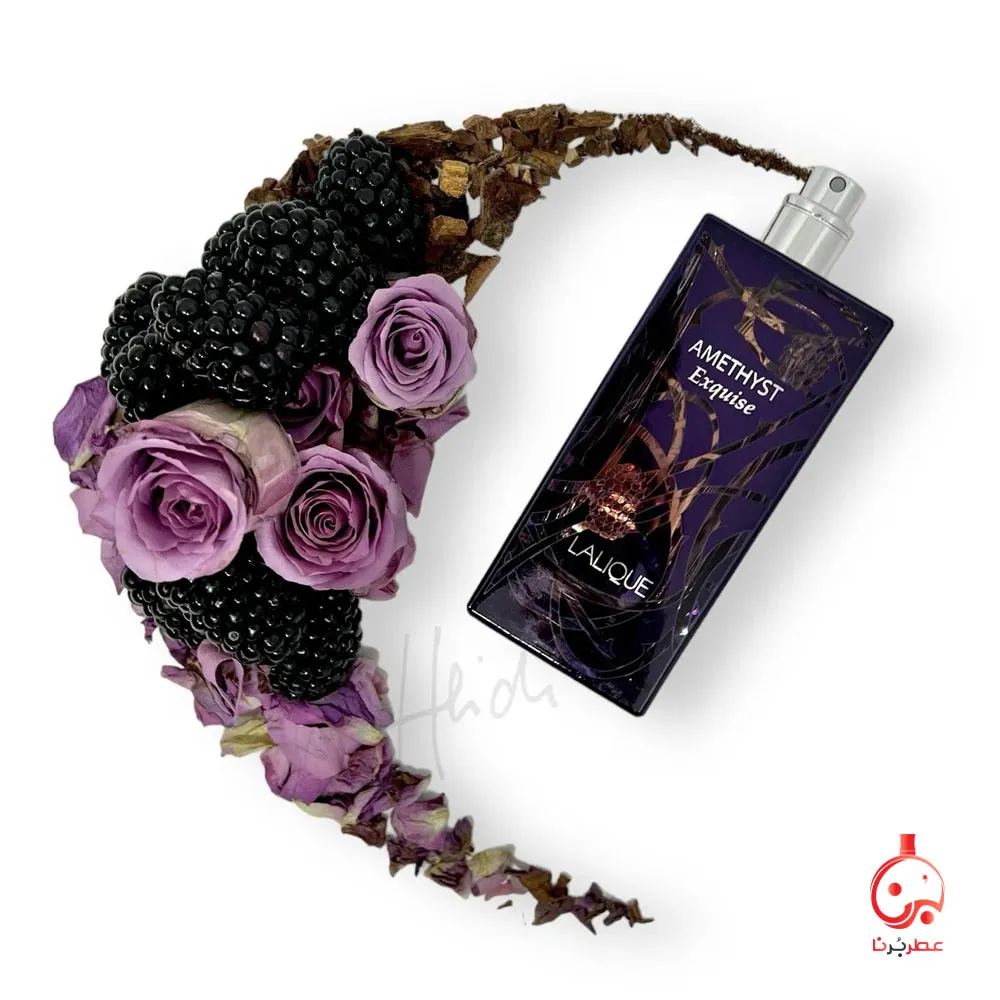 عطر لالیک آمیتیس اکسکیوز